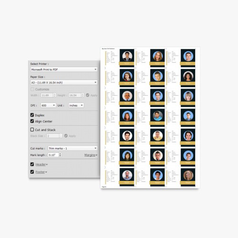 Id card software with photo Editor